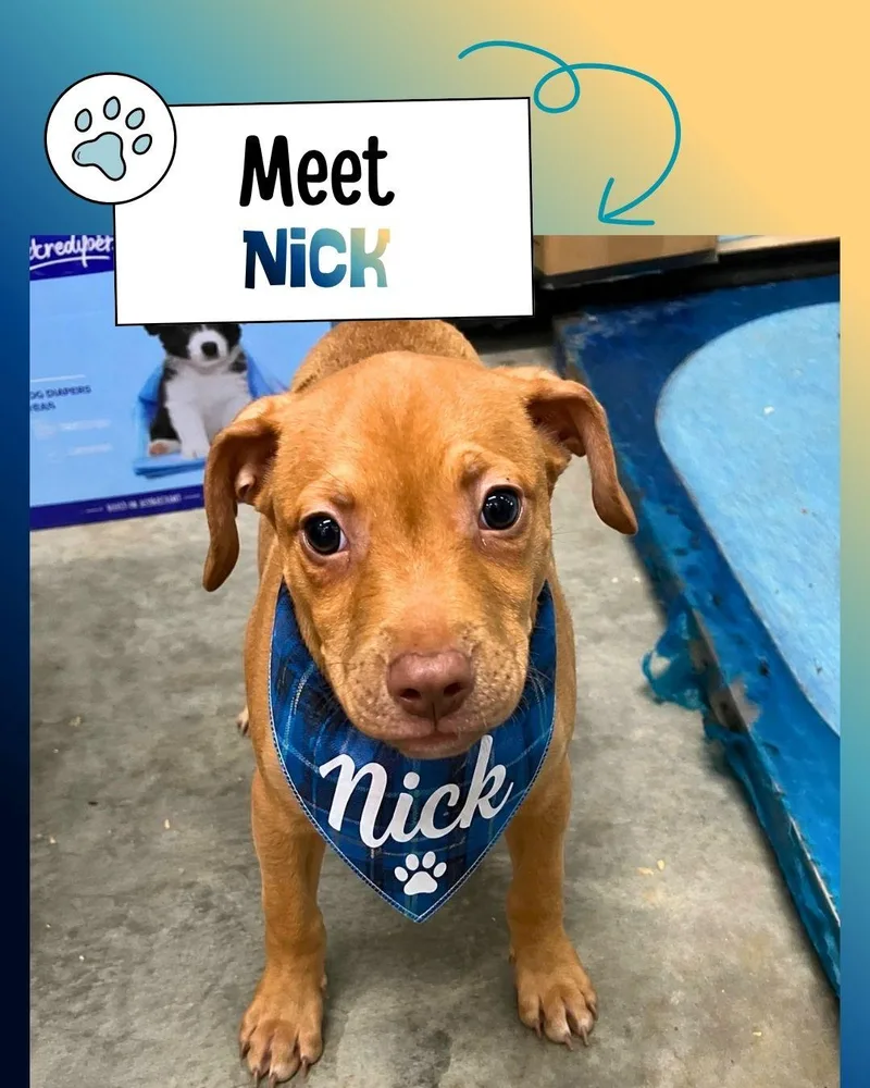 Nick