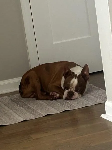 Gator Adams   thumbnail 2