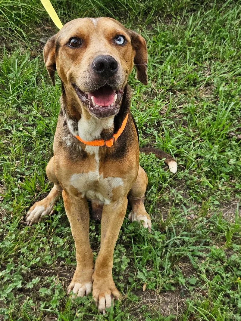 Sinatra