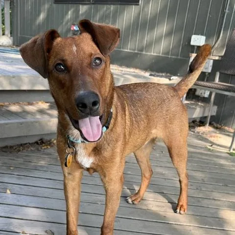 Max