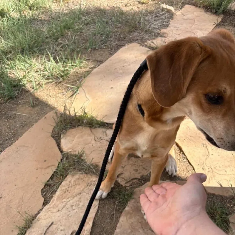 Tater thumbnail 4