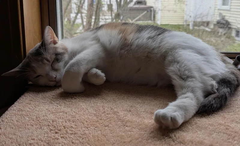 Bonnie And Chrissy thumbnail 5