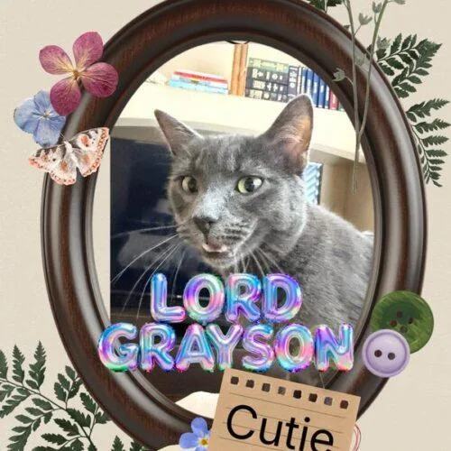 Lord Grayson thumbnail 4