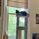 Purrsnip thumbnail 3