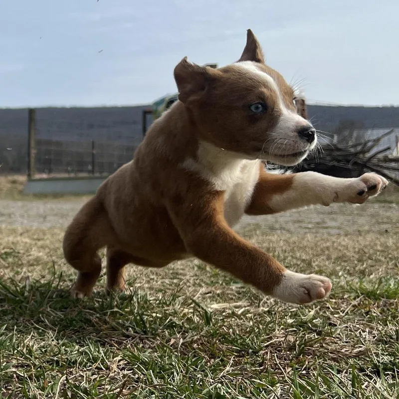 Maysilee thumbnail 2