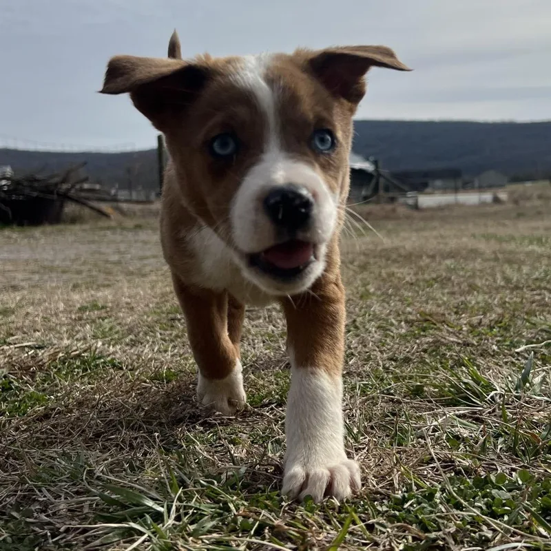 Maysilee thumbnail 3