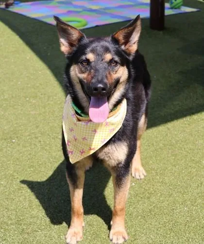 Wednesday thumbnail 2