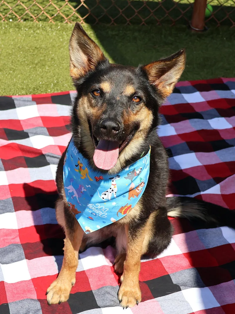 Wednesday thumbnail 3