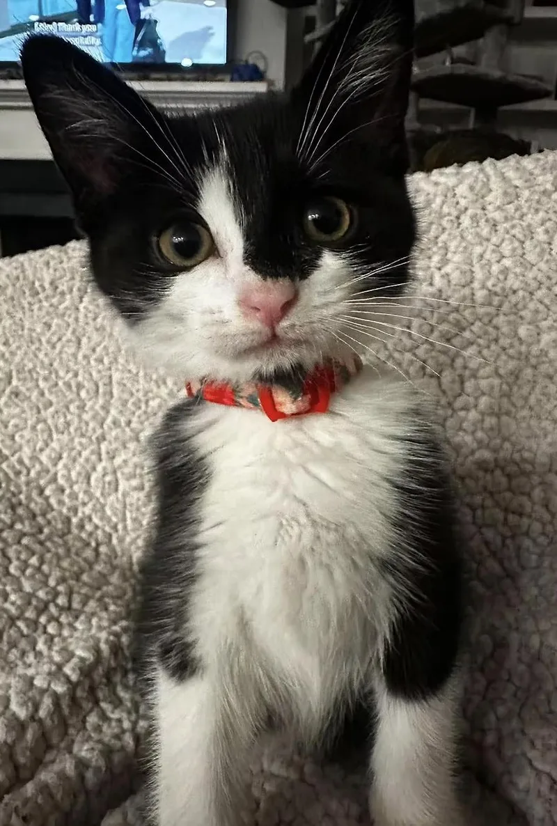 Bertie Mae thumbnail 3