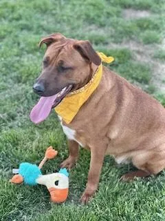 Luke Combs thumbnail 5