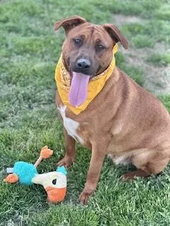 Luke Combs thumbnail 6