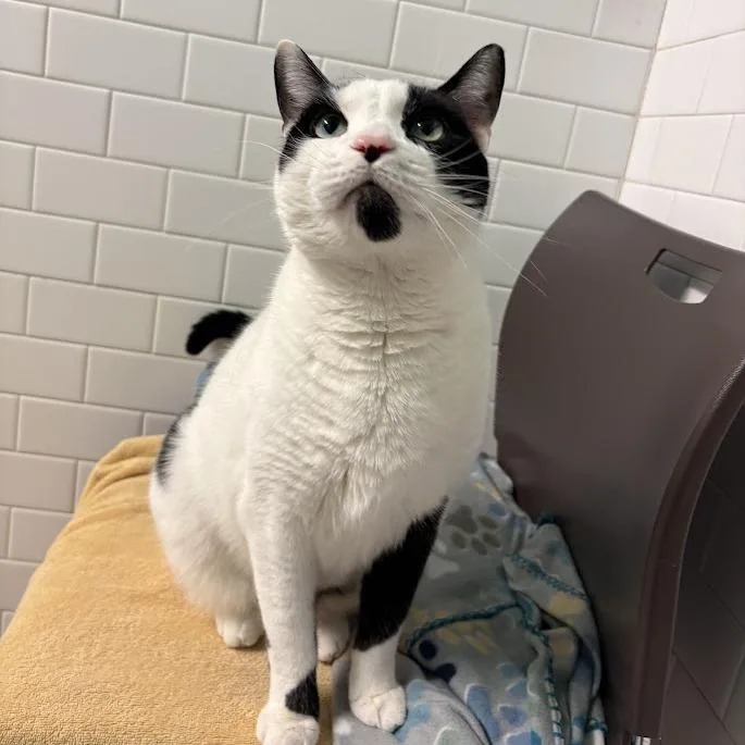 Qz And Freddy thumbnail 3