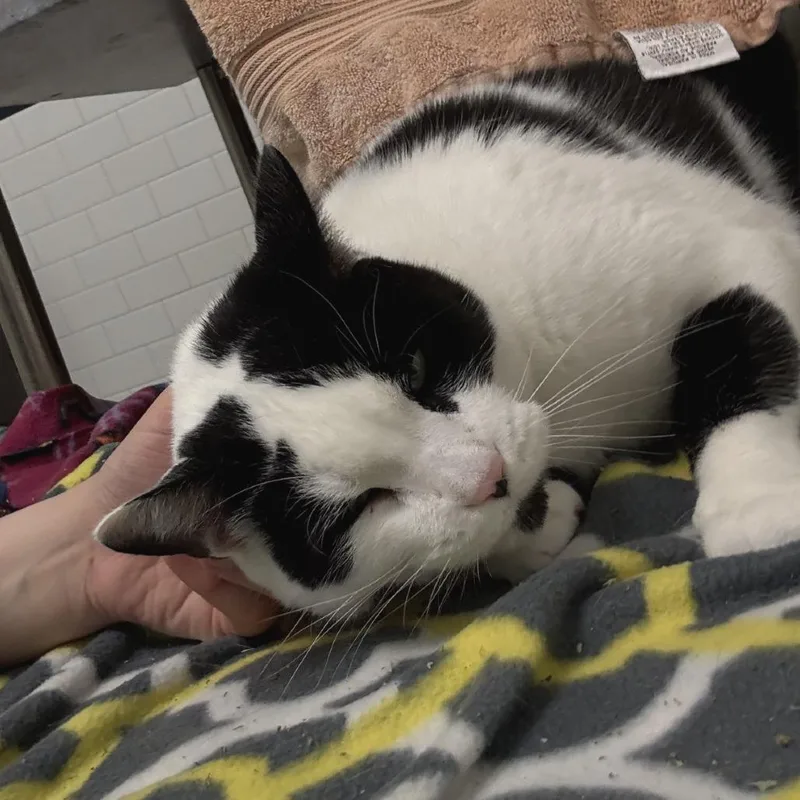 Qz And Freddy thumbnail 5