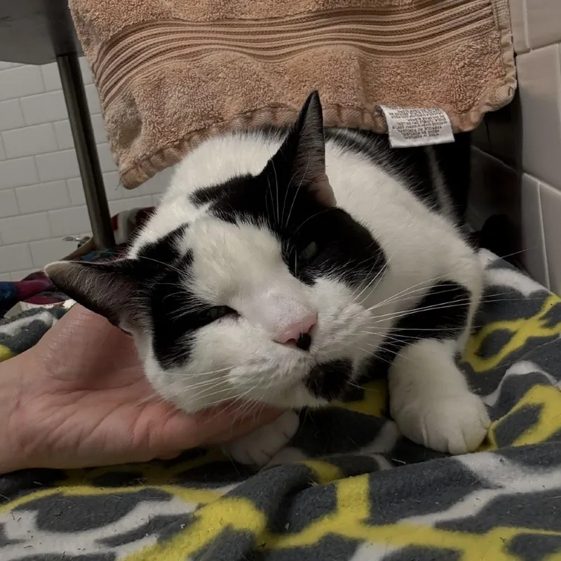 Qz And Freddy thumbnail 6