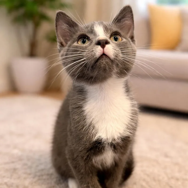 Chuckie Finster thumbnail 4