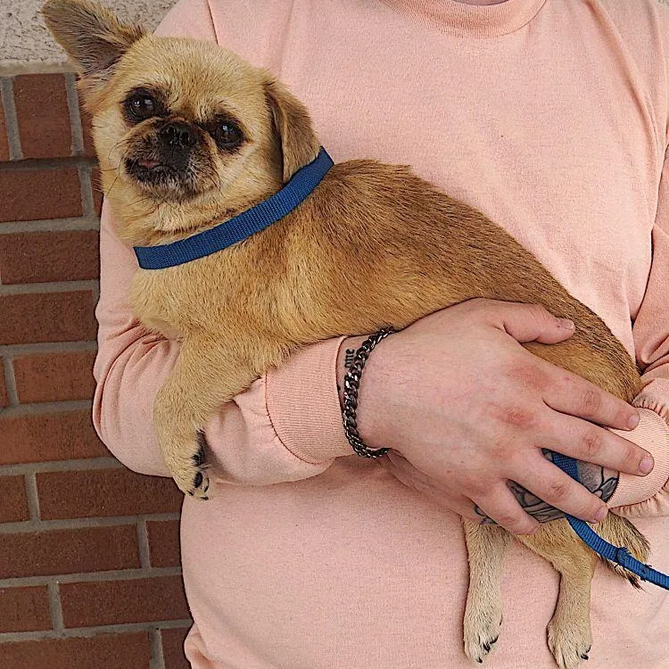 Cuddle Bug thumbnail 2