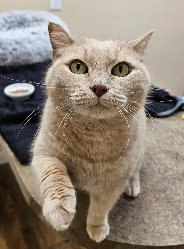 Maggie Mae thumbnail 2