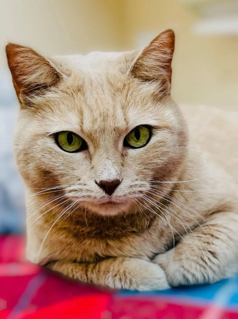 Maggie Mae thumbnail 3