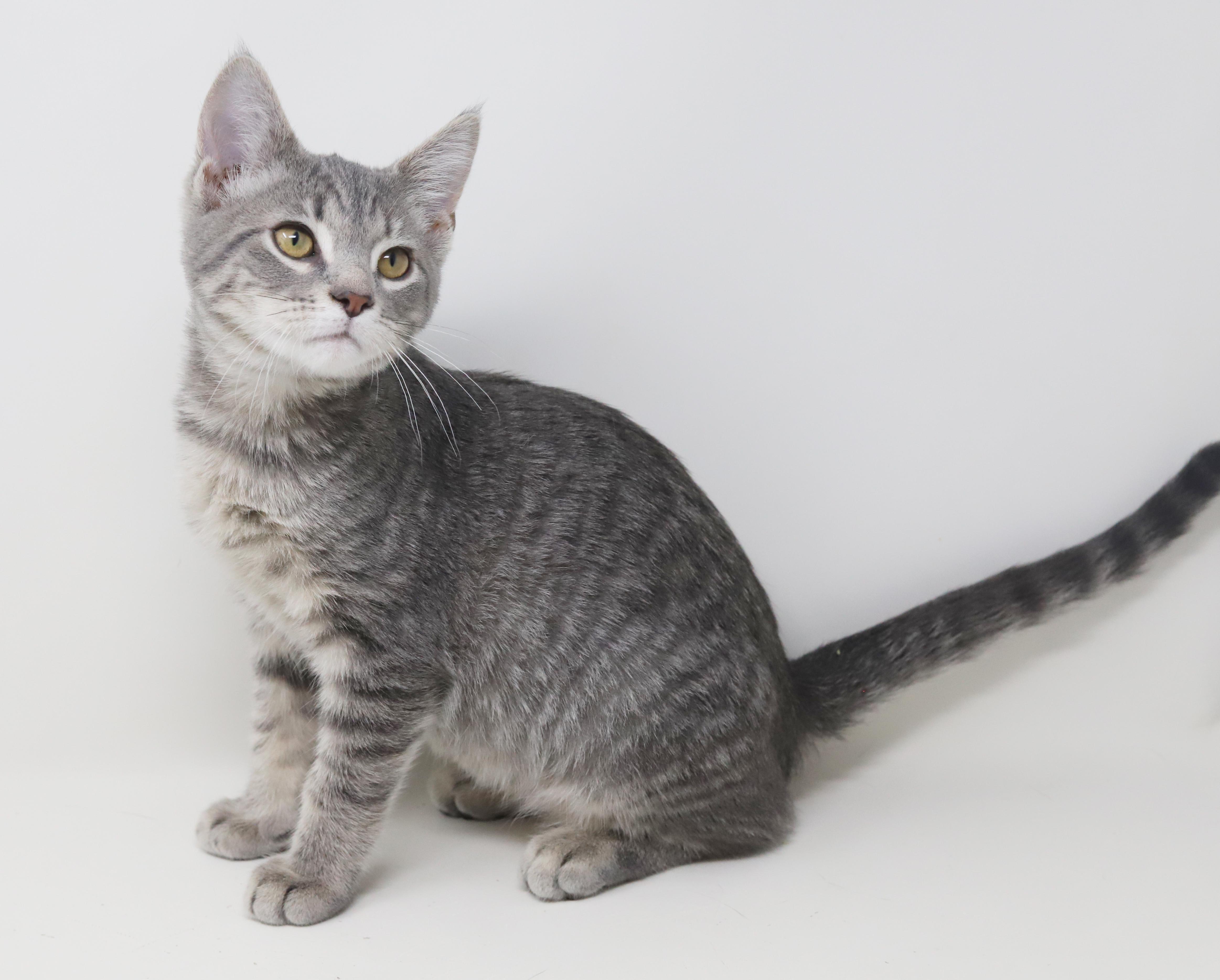 Boba Is Baby Brilliance! thumbnail 3