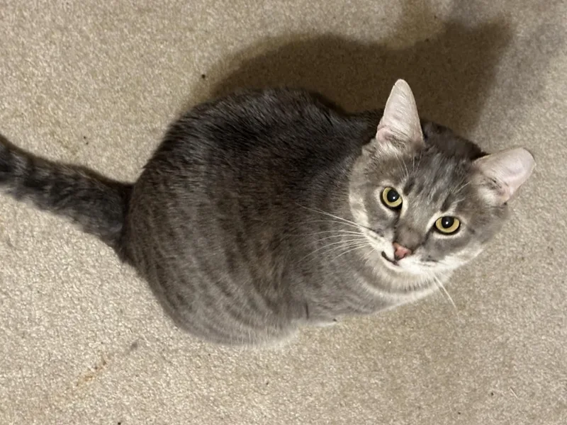 Charlie & Beauty thumbnail 3