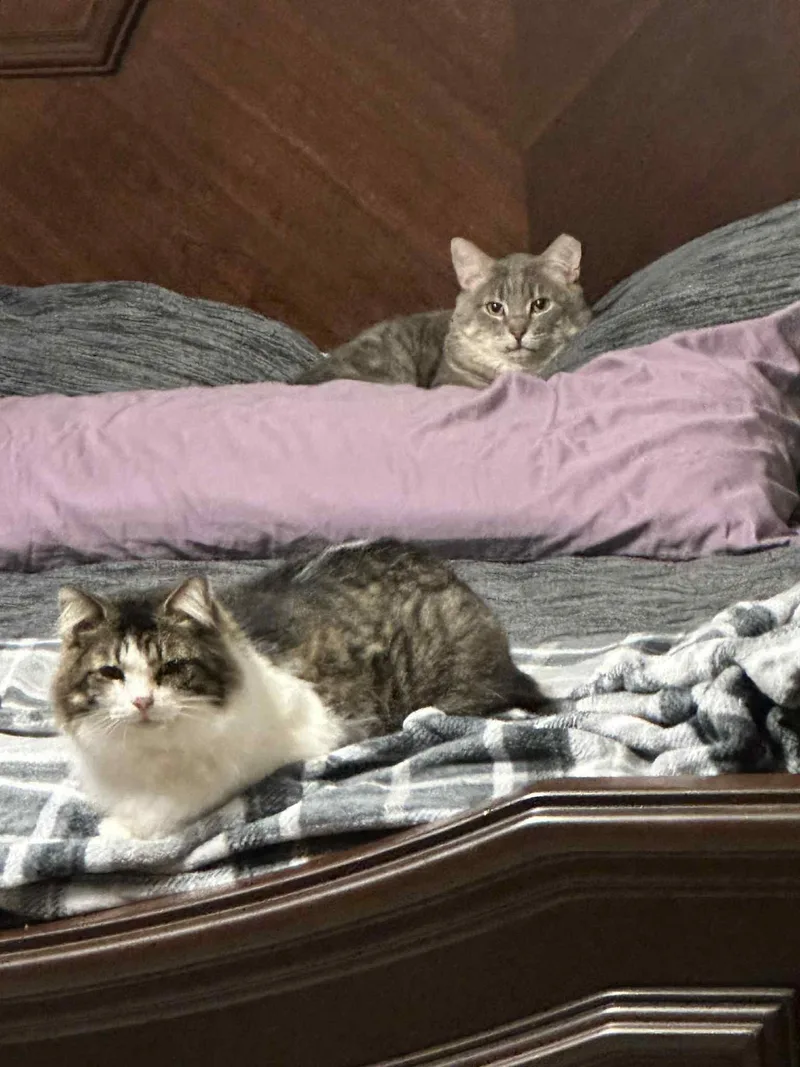 Charlie & Beauty thumbnail 5