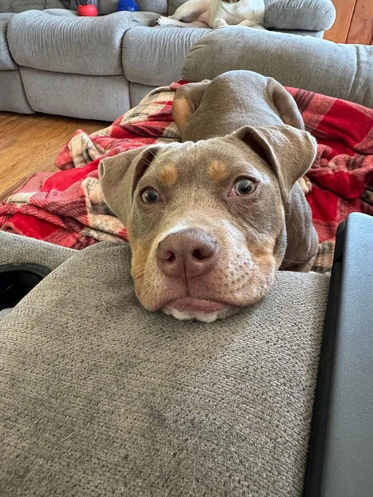 Sweet Pea thumbnail 2