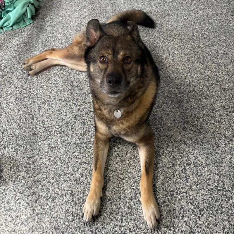 Zeus