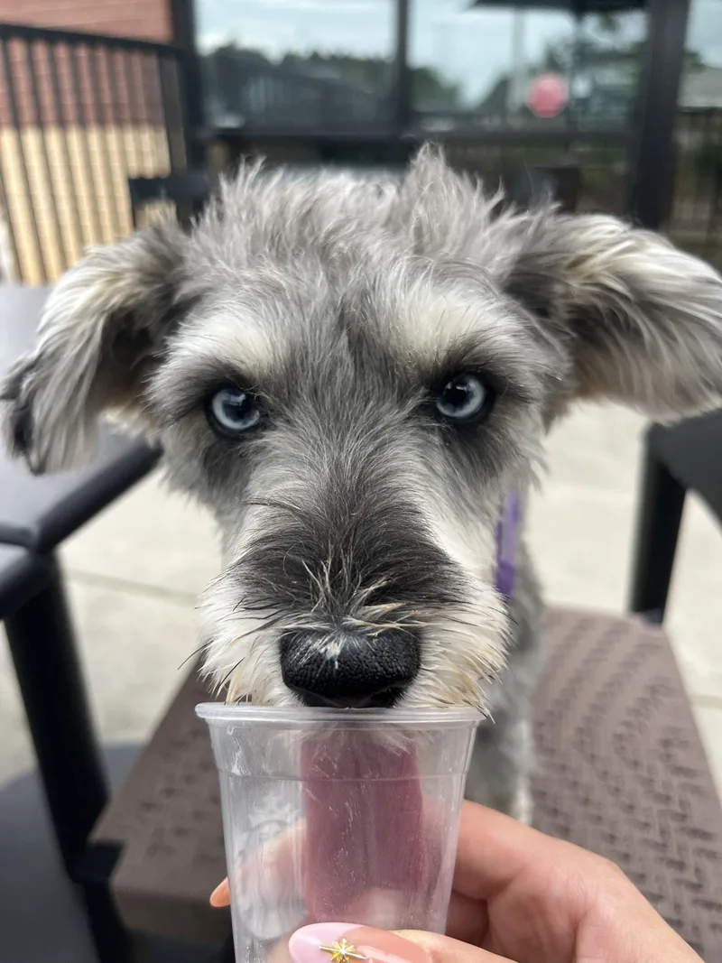 Emma Lou thumbnail 2