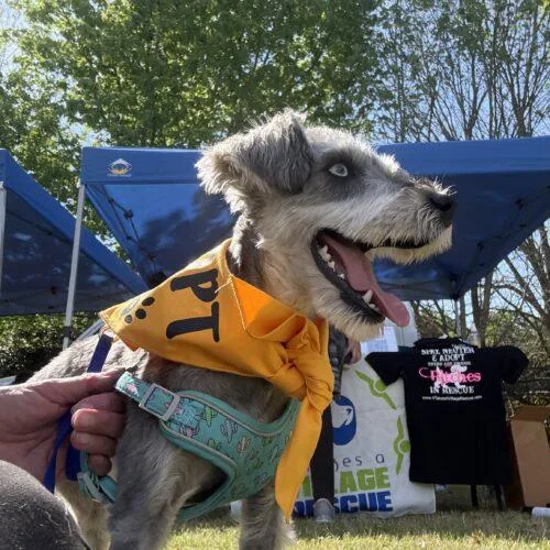 Emma Lou thumbnail 3