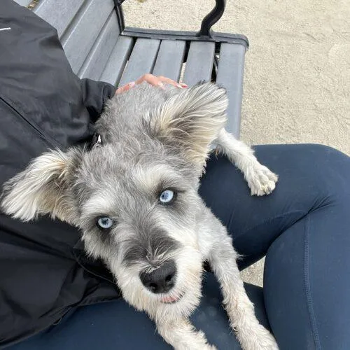 Emma Lou thumbnail 4