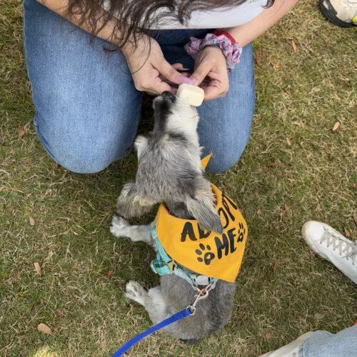 Emma Lou thumbnail 5