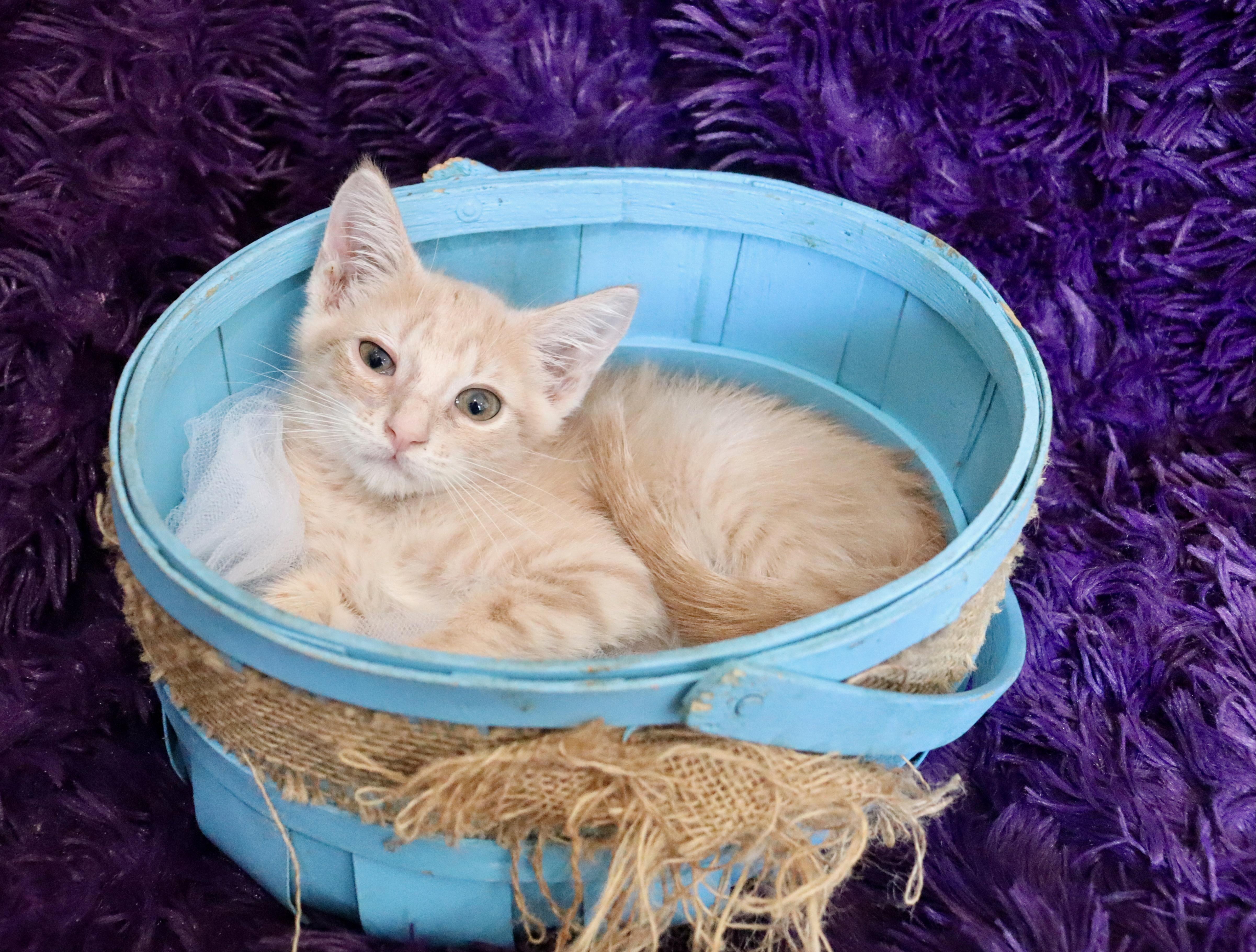 Buster thumbnail 3