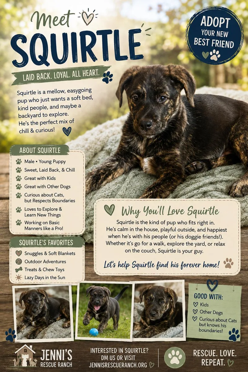 A baby large-sized male Brindle Golden Retriever dog named Squirtle for adoption in Alvin, TX