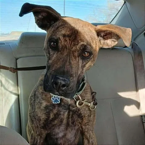 Mr. Wiggles thumbnail 5