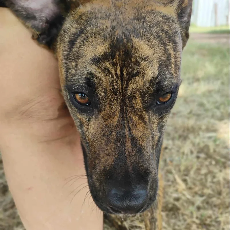 Mr. Wiggles thumbnail 6