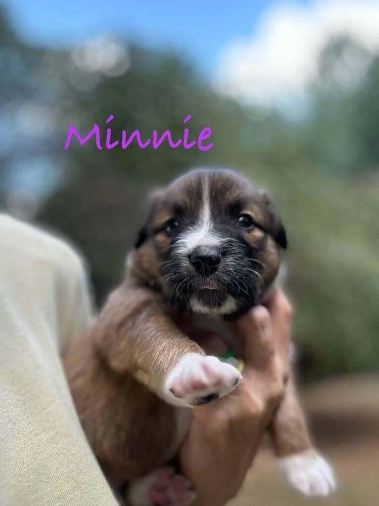 Minnie Fay thumbnail 2