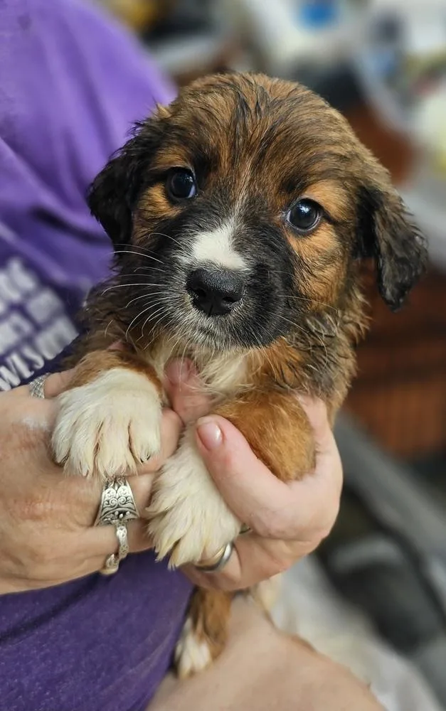 Minnie Fay thumbnail 3