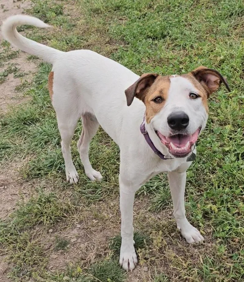 Bailey Sc thumbnail 2