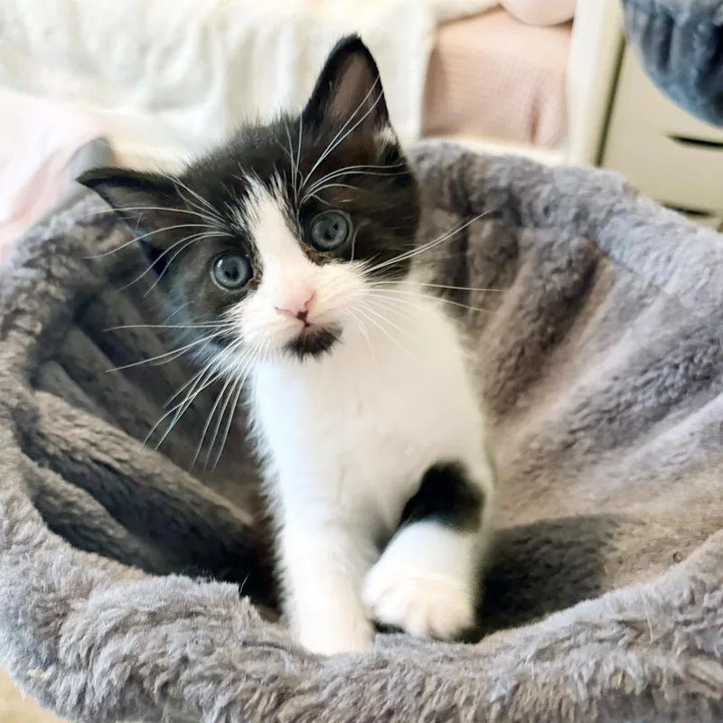 Stephen Purry thumbnail 2