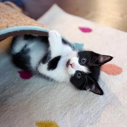 Stephen Purry thumbnail 3