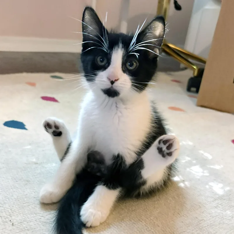 Stephen Purry thumbnail 5