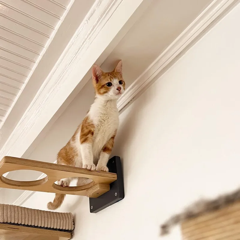 Bumblebee thumbnail 2