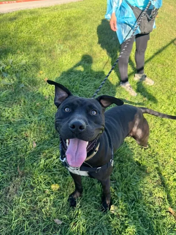 Muppet Baby thumbnail 2