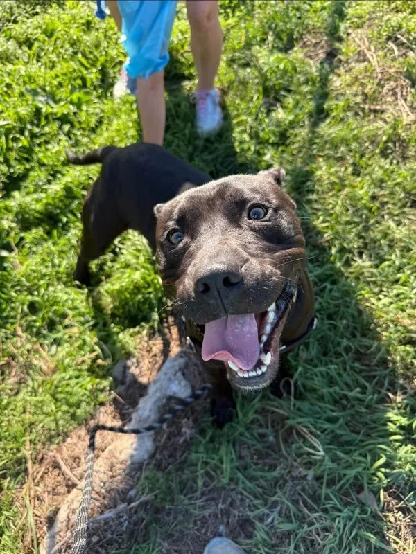 Muppet Baby thumbnail 3