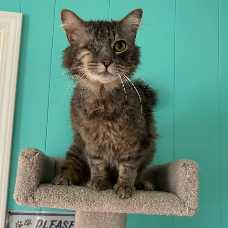 Leo