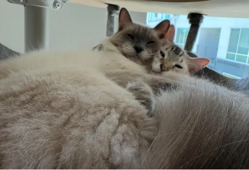 Jeffrey & Paxton thumbnail 4