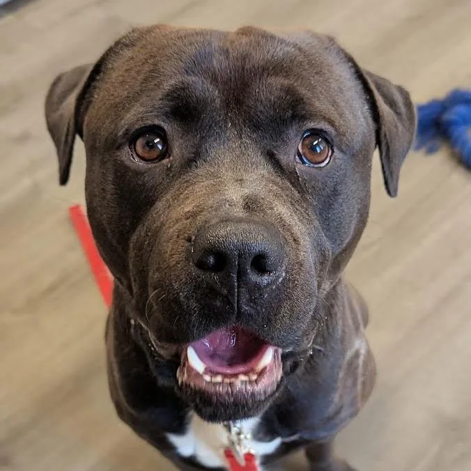 Loverboy thumbnail 2