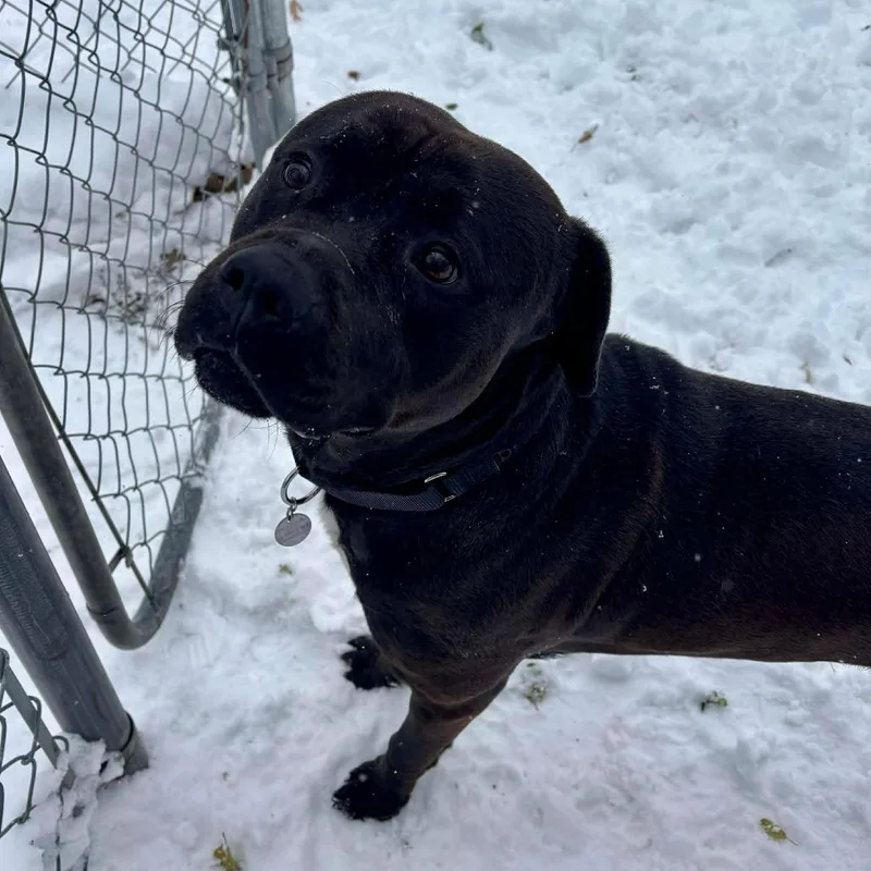 Loverboy thumbnail 3