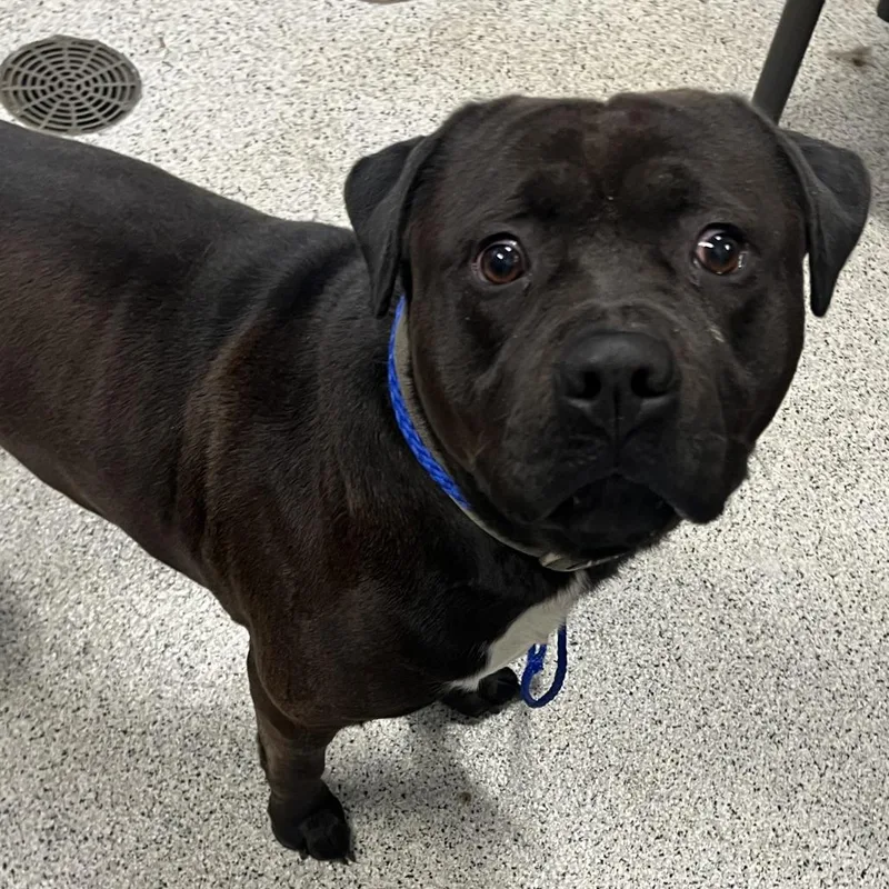 Loverboy thumbnail 4