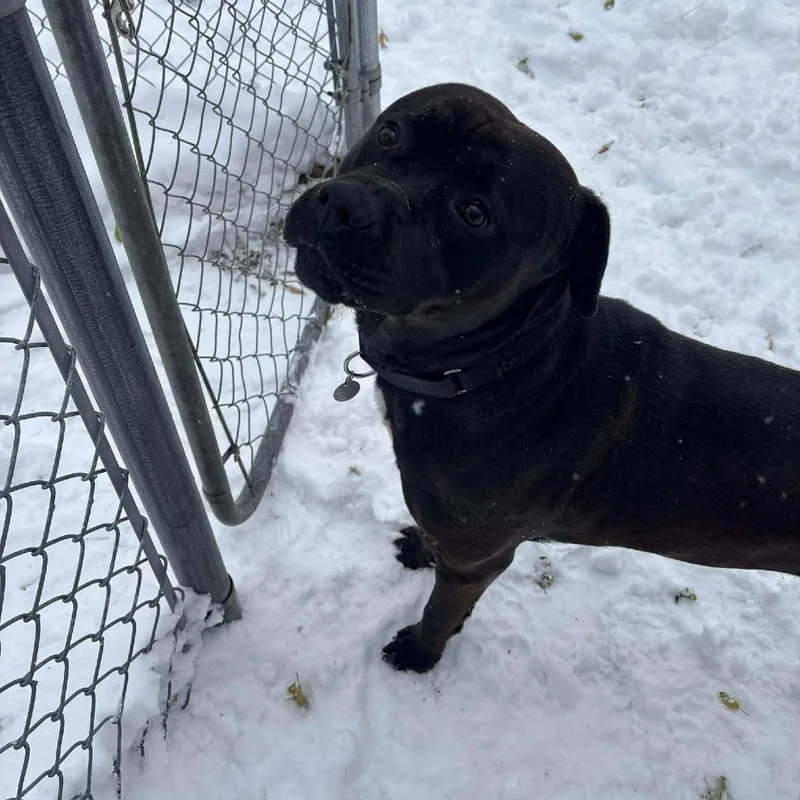 Loverboy thumbnail 6